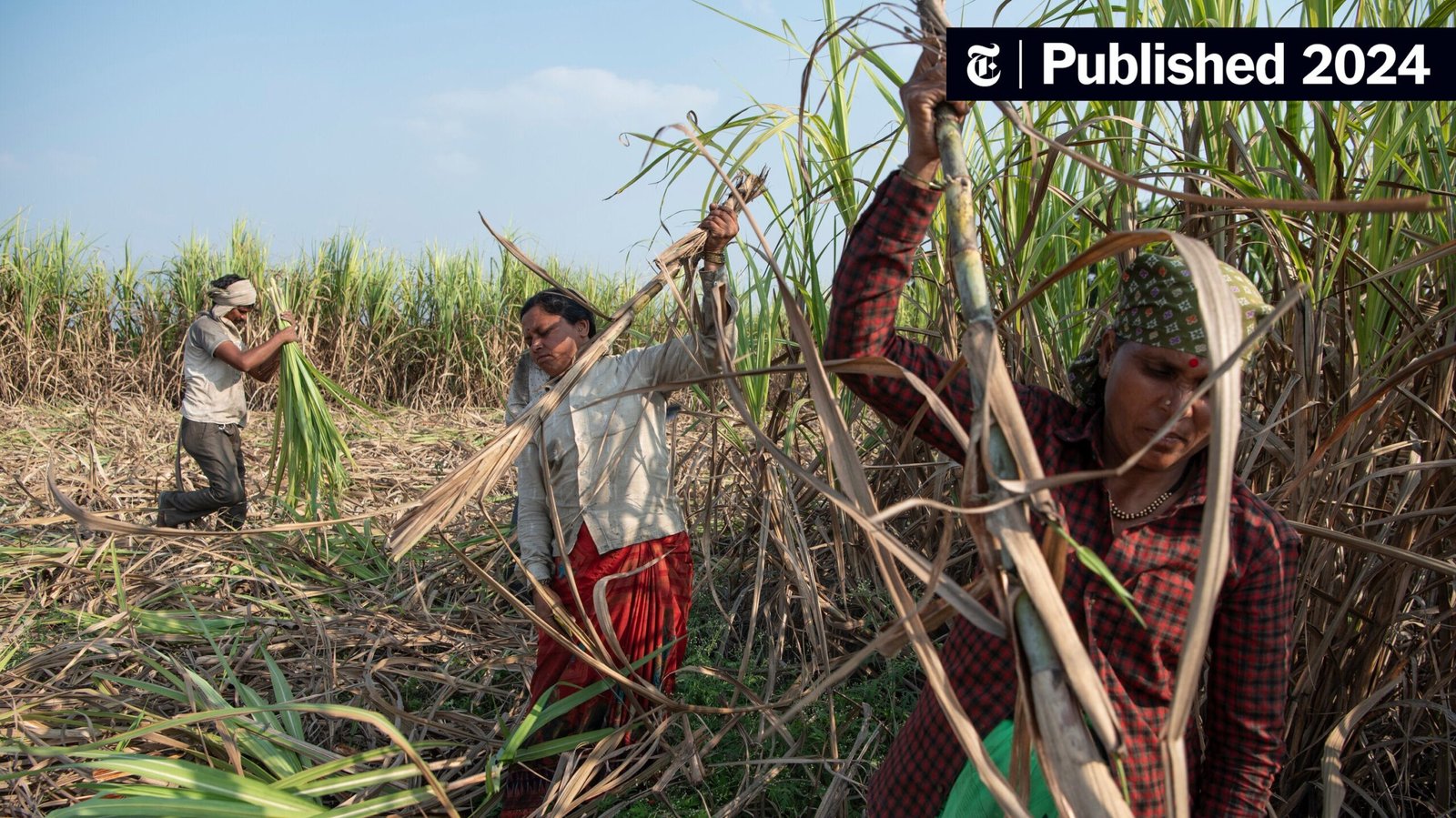 Questions to Ask Before Choosing a Sugar Supplier – Sugar supplier checklist