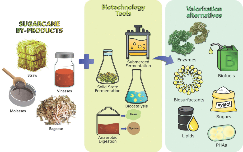 industrial white sugar uses