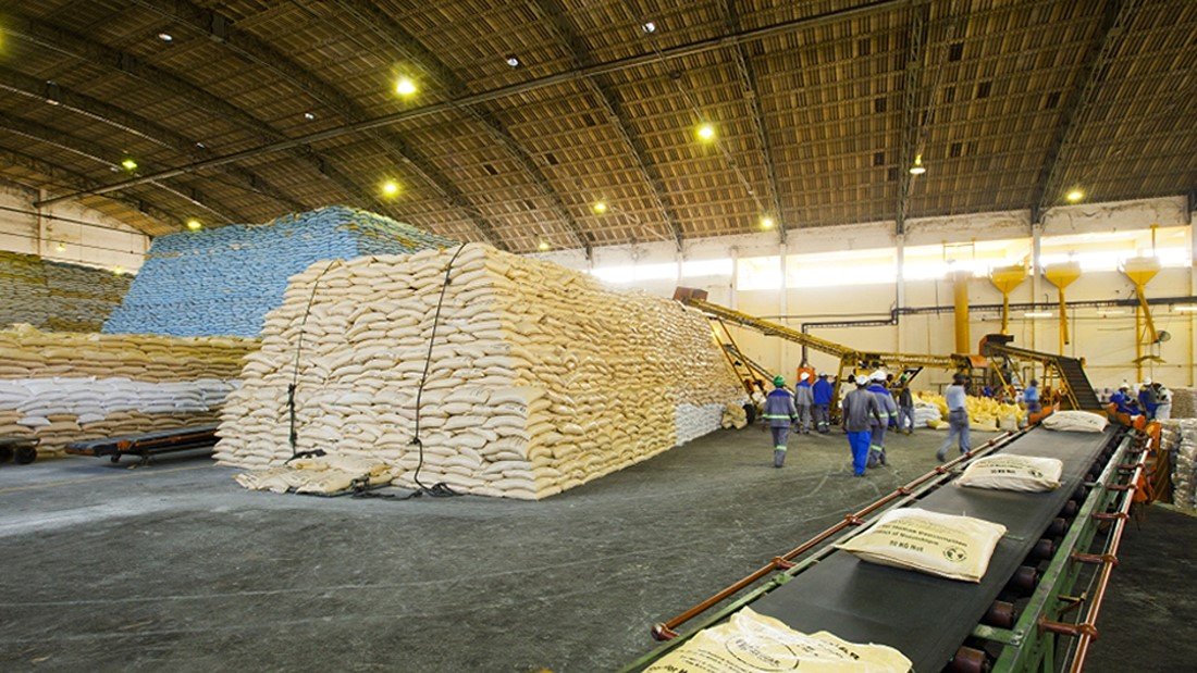 Why Palletization Matters in Sugar Export – Palletized sugar export