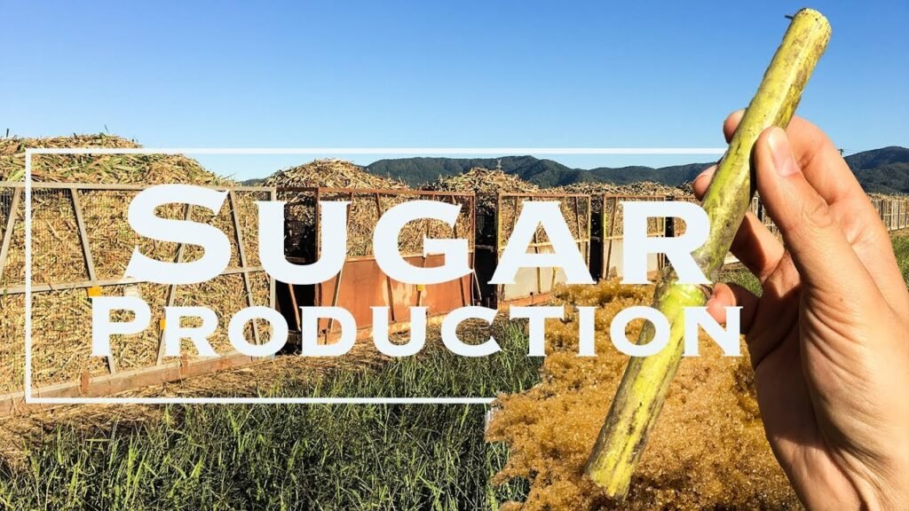 How We Maintain Consistent Sugar Quality — Consistent raw sugar