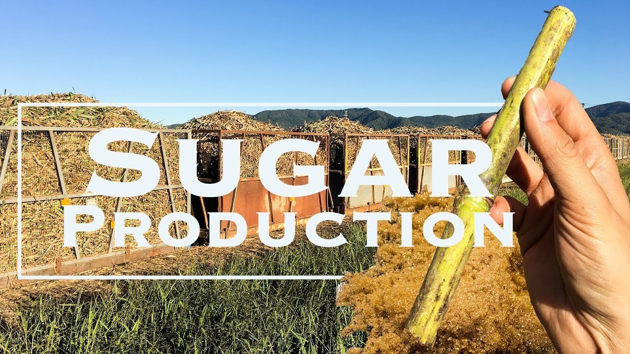 How We Maintain Consistent Sugar Quality — Consistent raw sugar