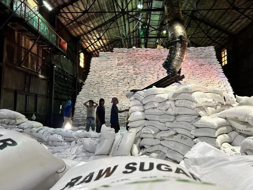 How We Support First-Time Sugar Importers — Sugar importer support
