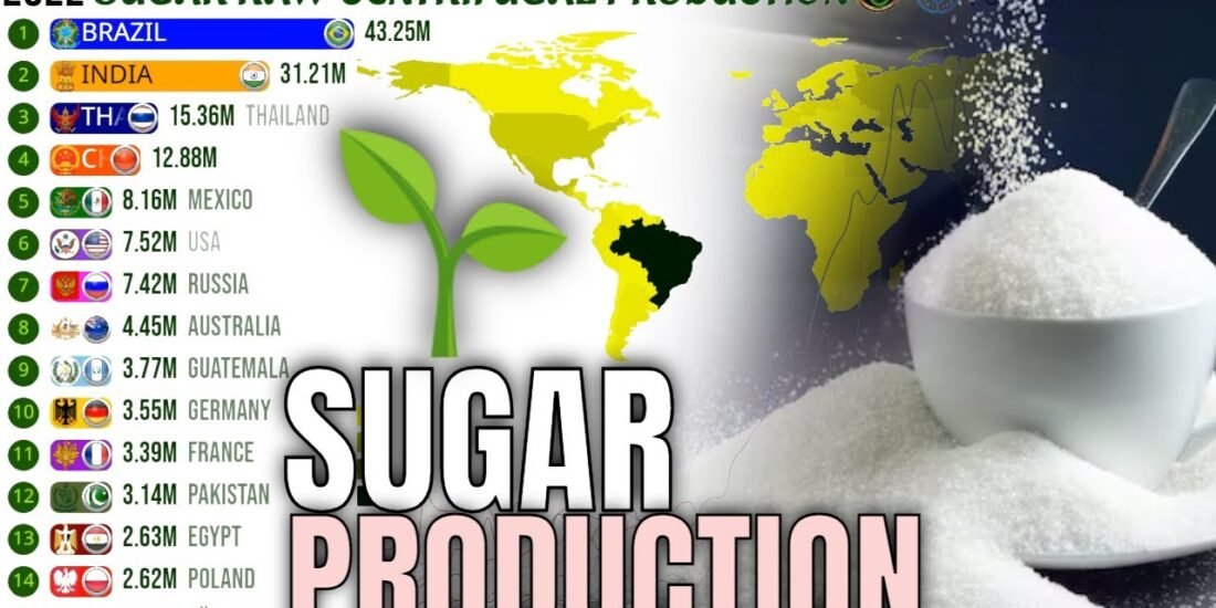Why Our Prices Are Competitive in 2025 — Raw sugar competitive price