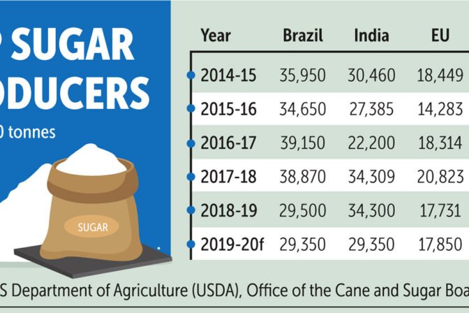 Brazil vs Thailand Sugar Prices Compared