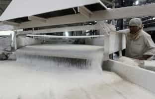 ICUMSA Sugar Wholesale Business Guide 1