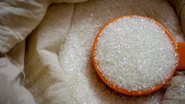 ICUMSA Sugar vs Brown Sugar Comparison 2