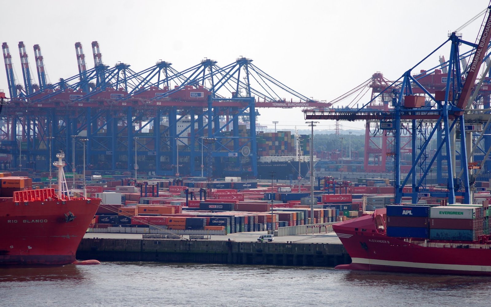 Sugar Import Company: 6 Essential Things to Verify Before You Order