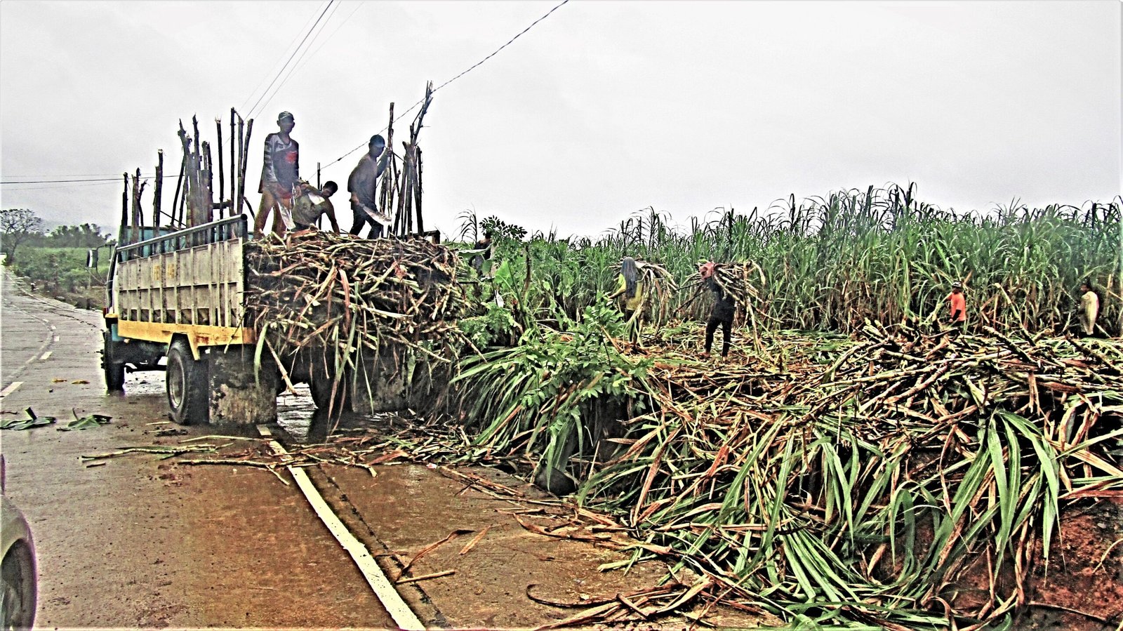 Sugar Sourcing Company: 6 Essential Signs of a Real Source