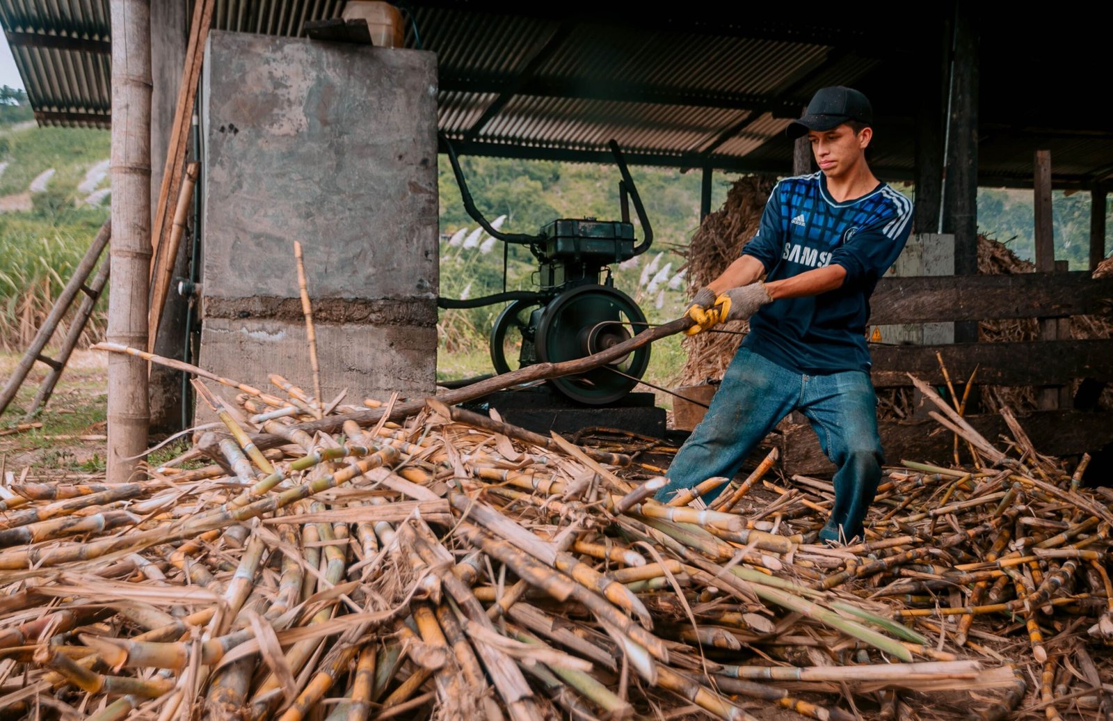 industrial raw sugar