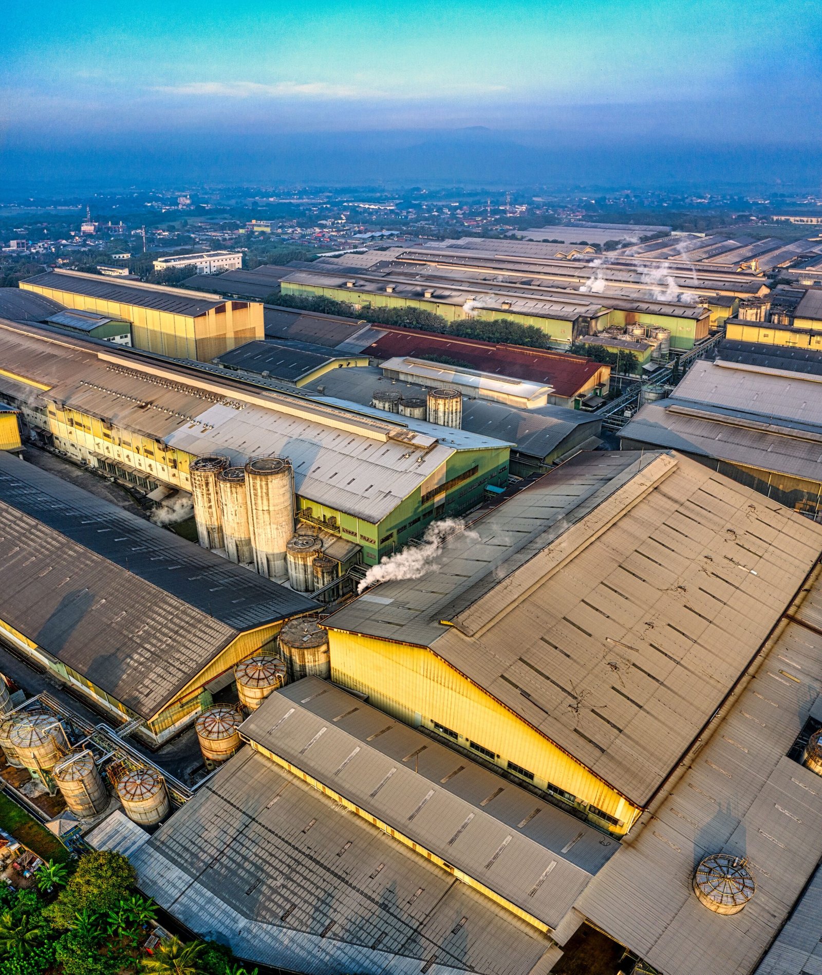 Sugar Wholesale Company: What to Check Before You Order