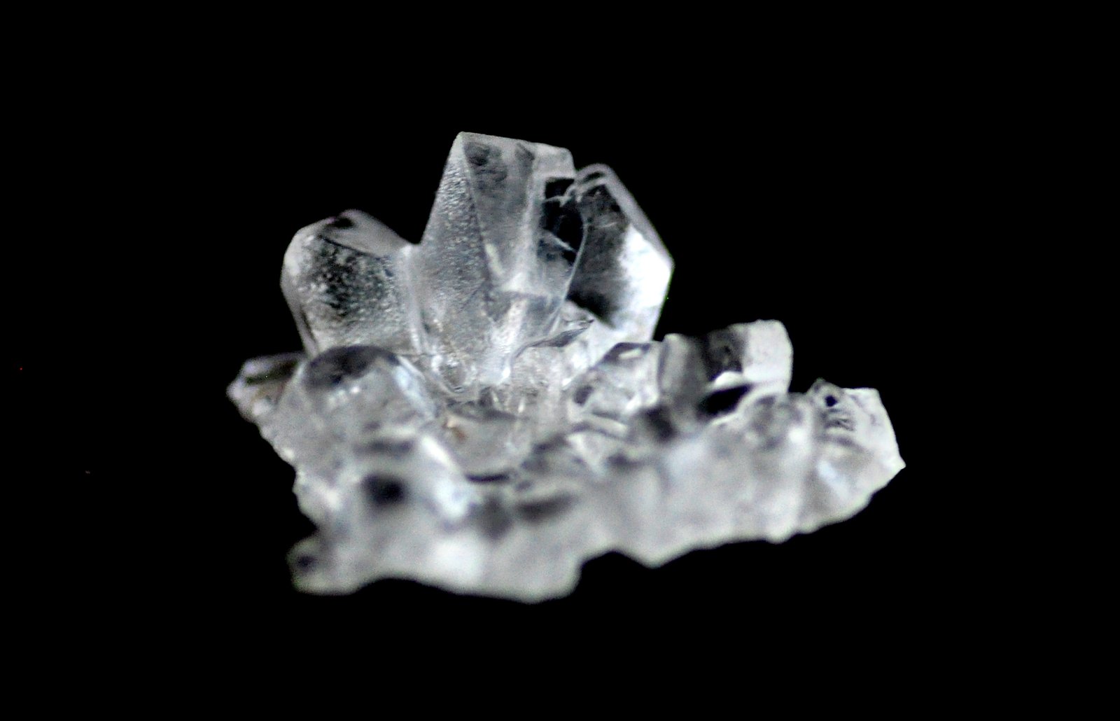 wholesale food sugar
