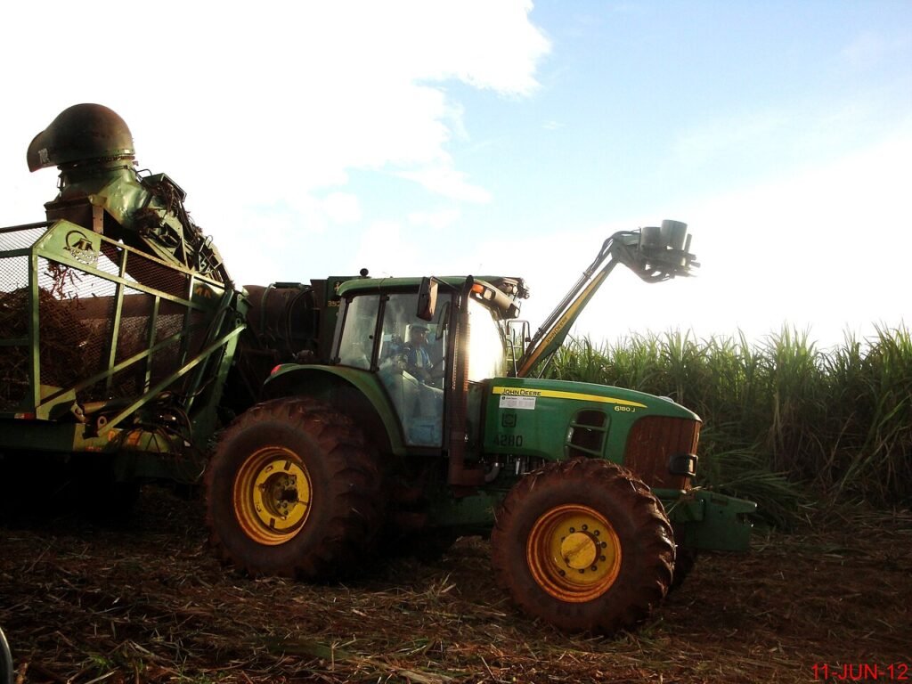 Brazilian sugar cane being harvested by machine in Sao Paulo state
