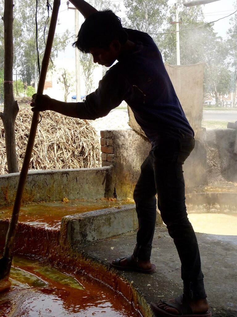 an Indian sugar mill during the crushing season