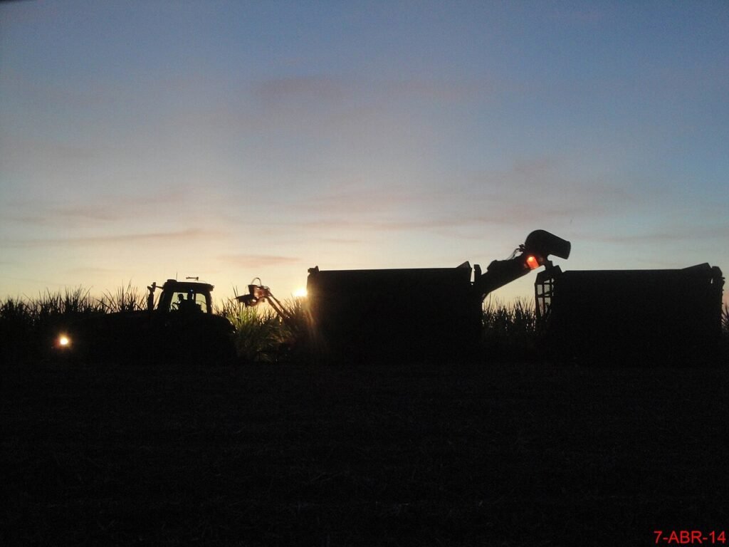 night harvest for the Brazilian sugar crushing season
