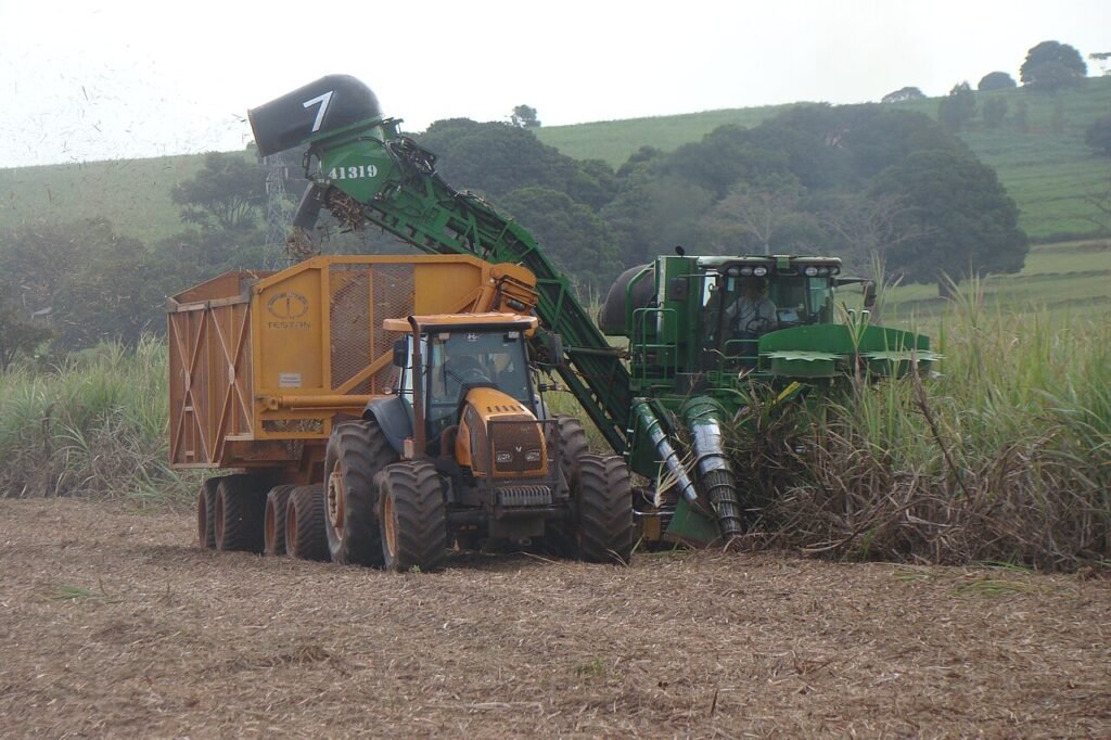 mechanised cane harvest in Parana, southern Brazil