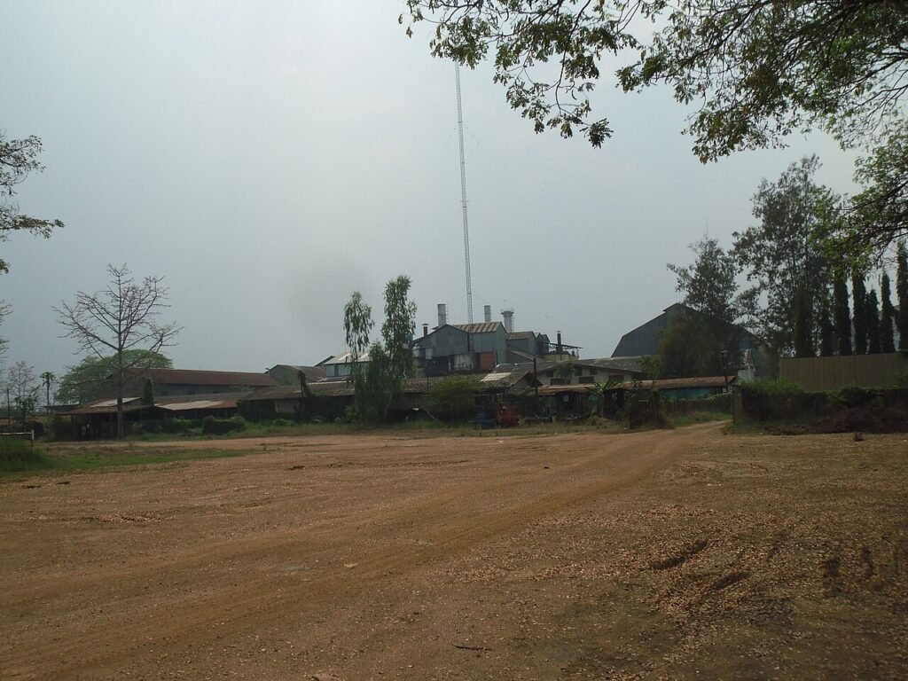 cane trucks queuing at a mill producing Thai sugar